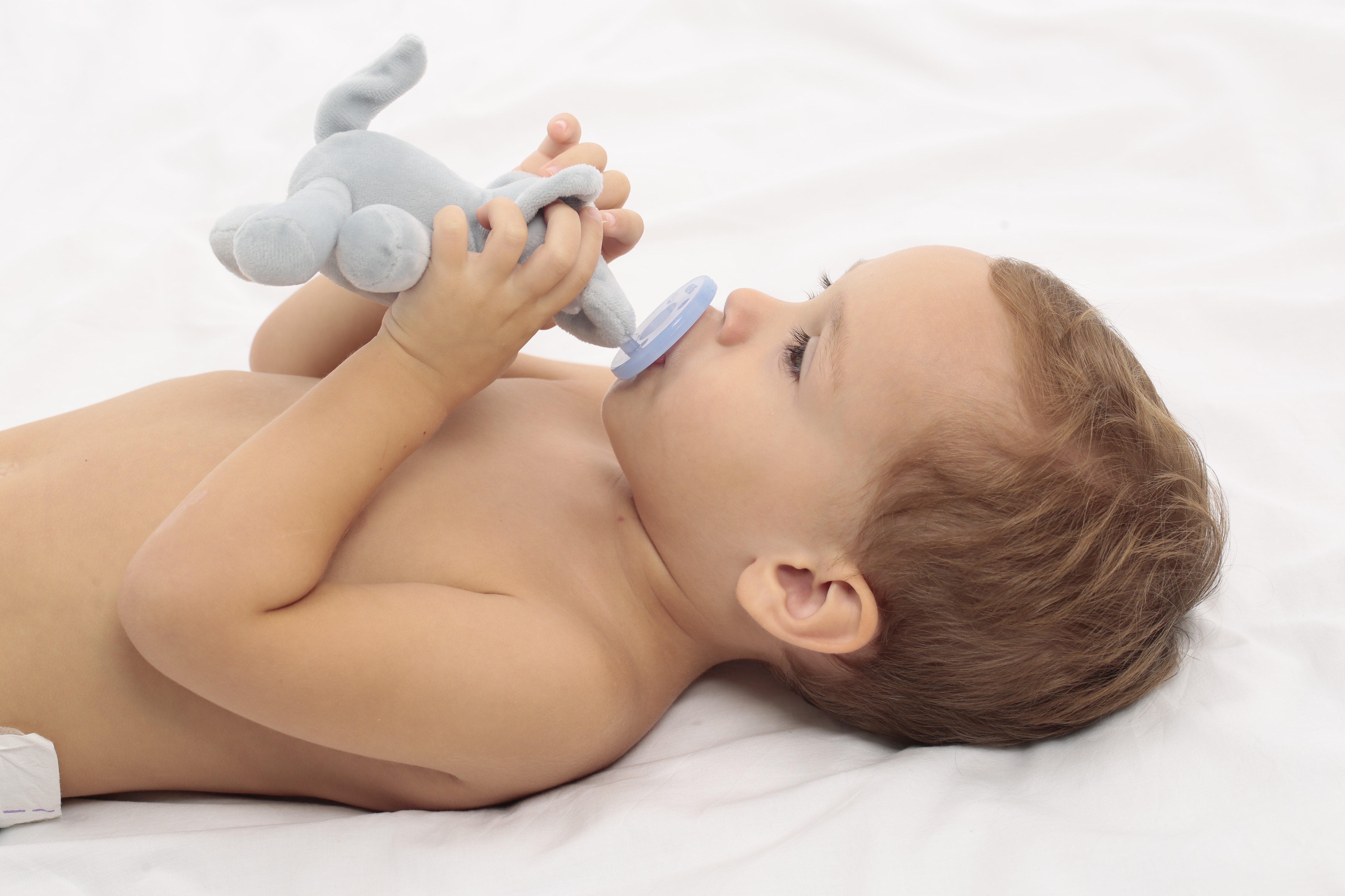 Minikoioi Smoczek z przytulanką Słoń 0+ | Edukacyjny