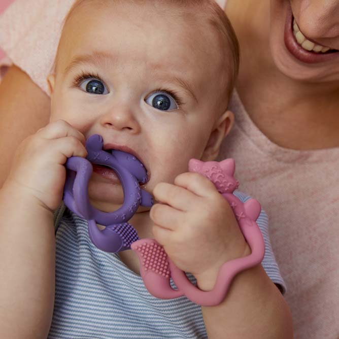 B.Box Gryzak Lisek Piwonia 3m+