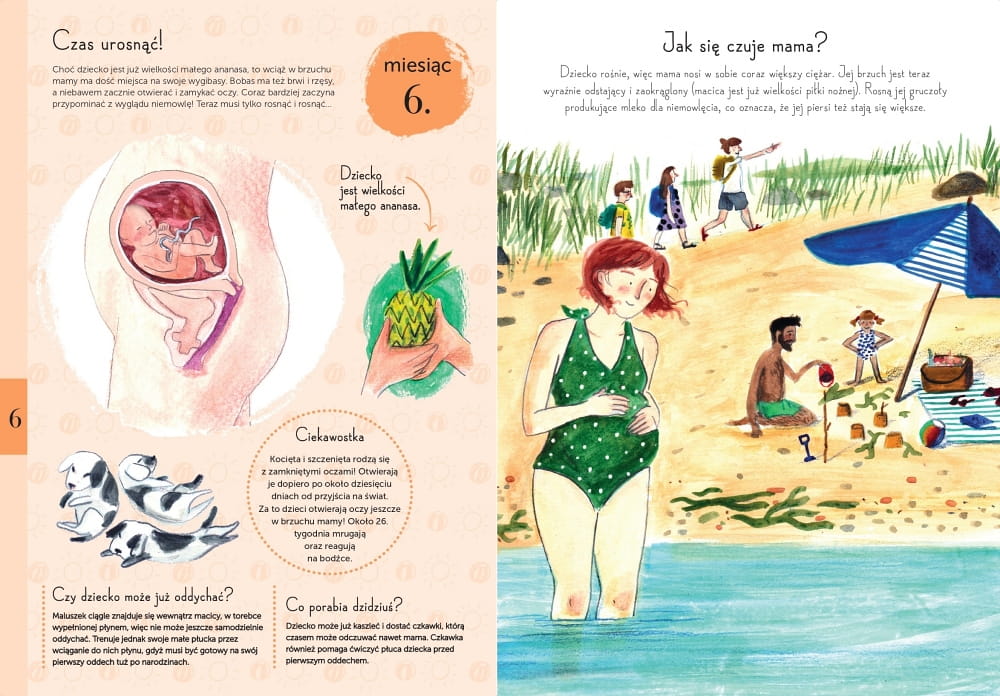 Babaryba Książka 9 miesięcy Rozwój Dziecka 0+ | Fabryka Wafelków