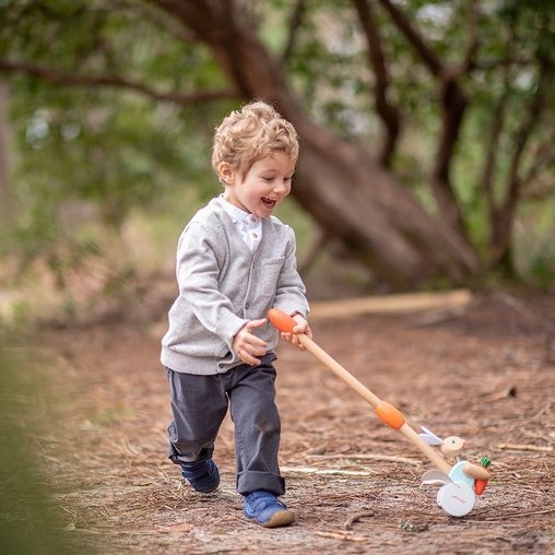 Janod Pchacz Drewniany Walec Pure 18m+