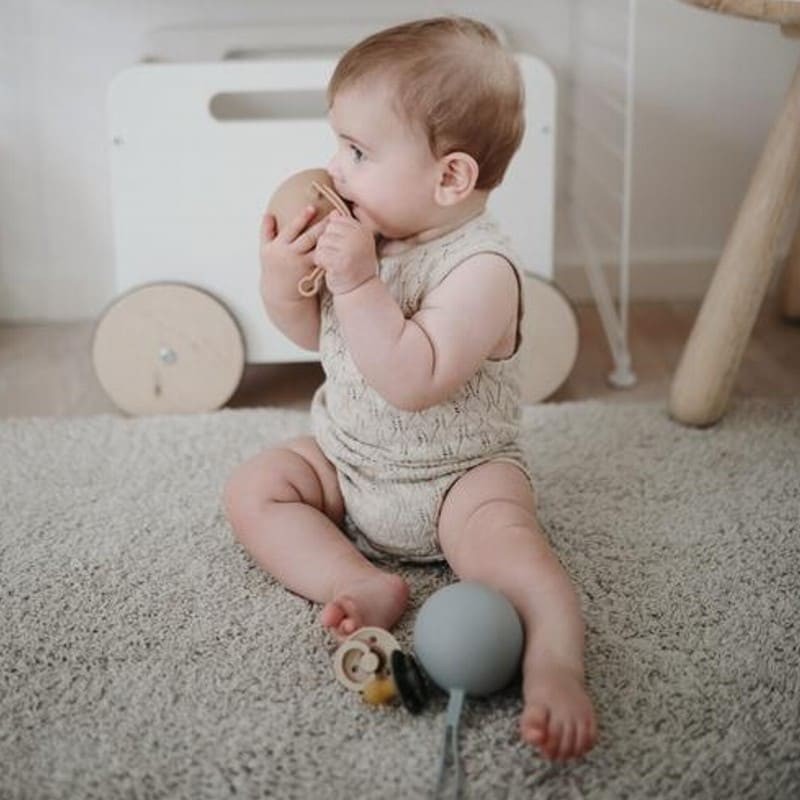 Mushie Etui na smoczek Kula Ball Cambrige Blue