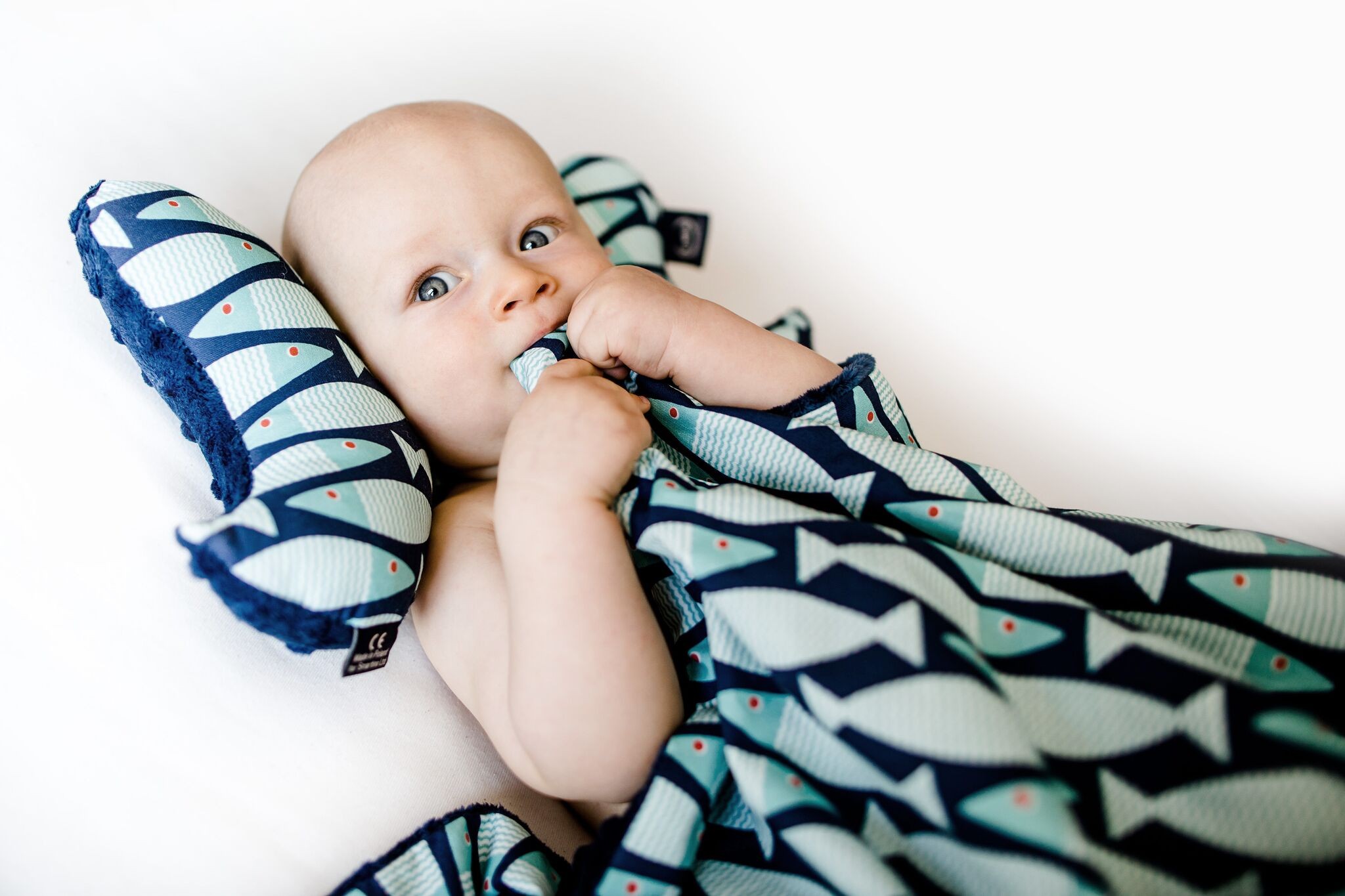 La Millou, Poduszka Angel's Wings - La Millou Family- Navy