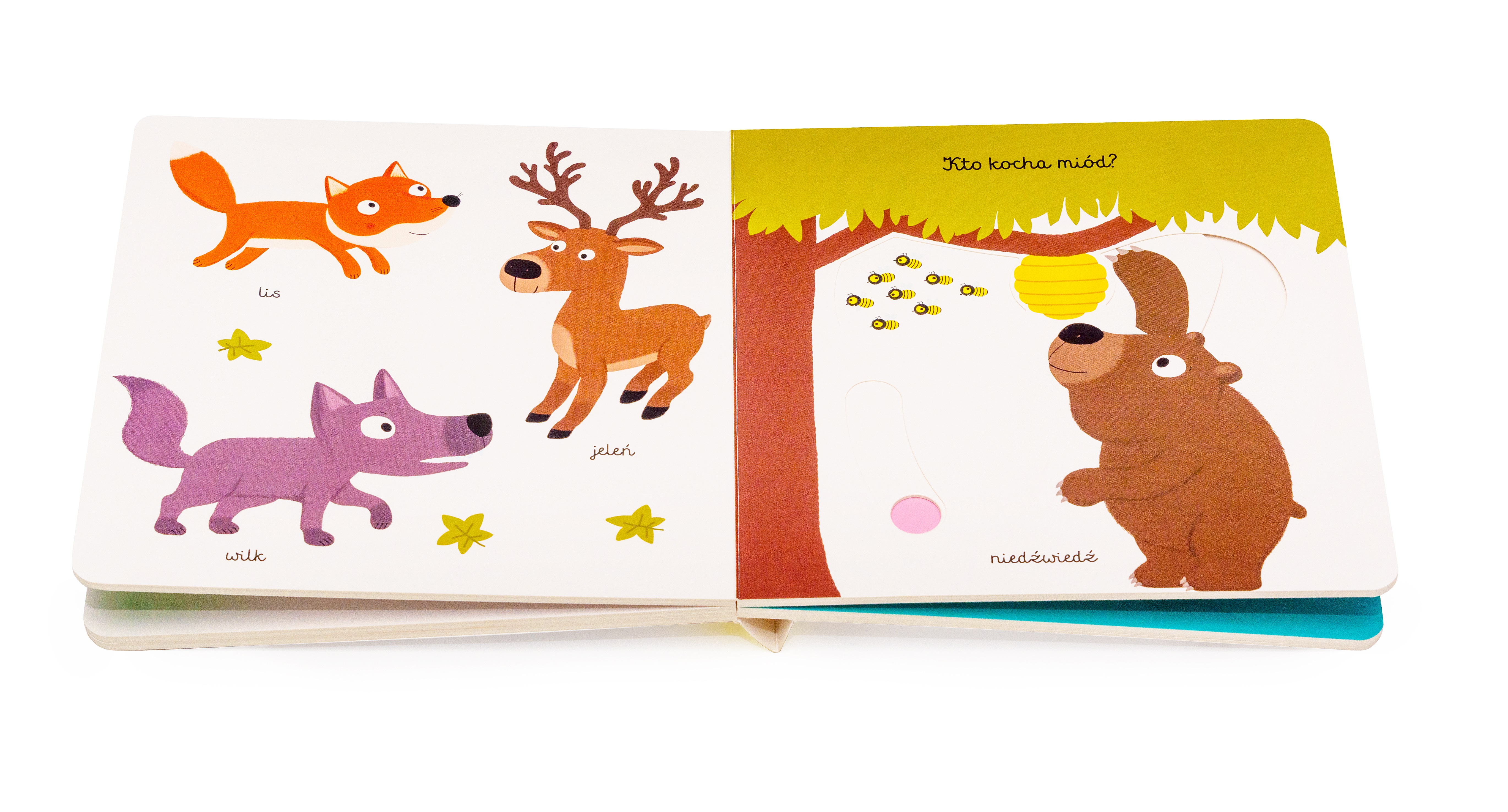 Akademia Mądrego Dziecka Dzikie Zwierzęta Pierwsze Słowa