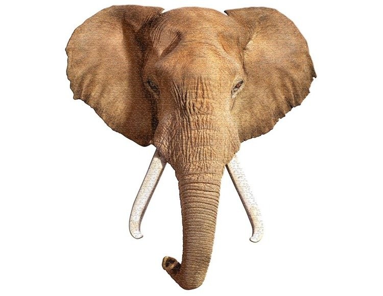 Madd Capp, Puzzle I AM - ELEPHANT - Słoń