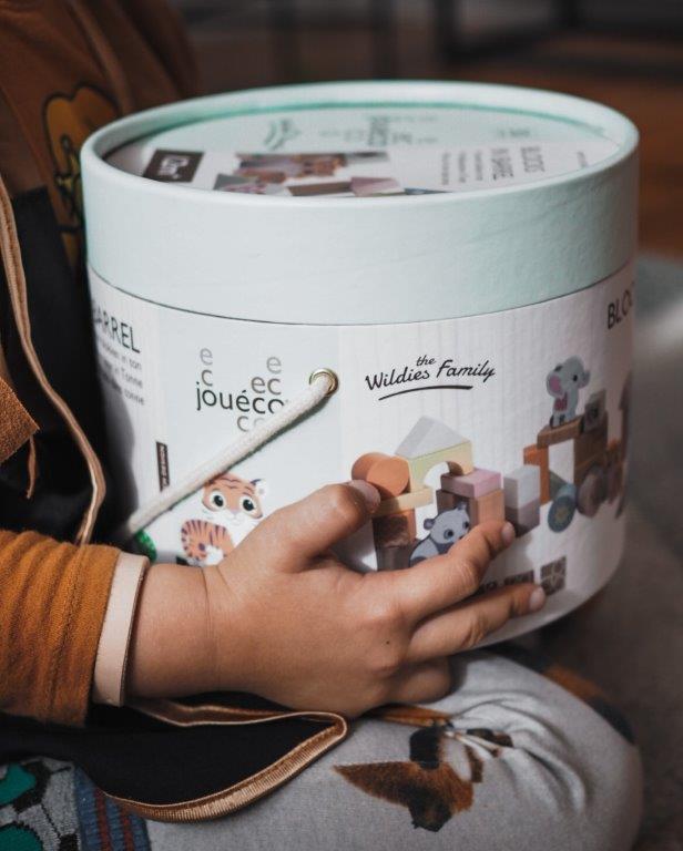 Joueco Drewniane Klocki The Wildies Family 50 el. 12m+