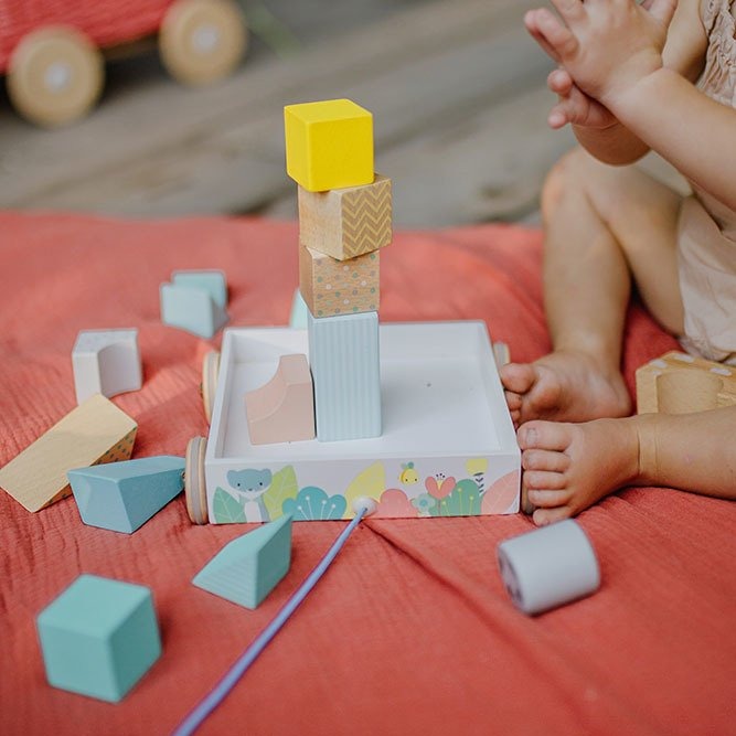 Janod Klocki Drewniane Do Ciągnięcia 30el 18m+