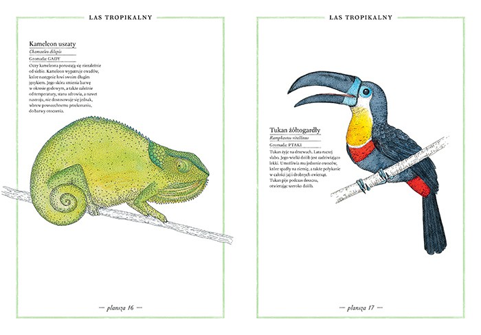 ILUSTROWANY INWENTARZ ZWIERZĄT