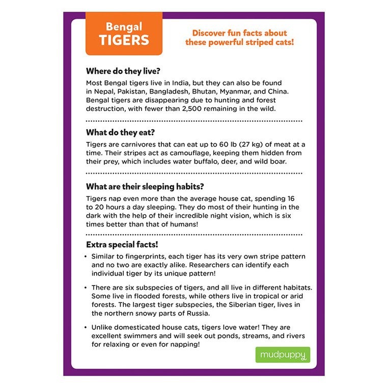 Mudpuppy Puzzle Tygrys bengalski 48el 4+