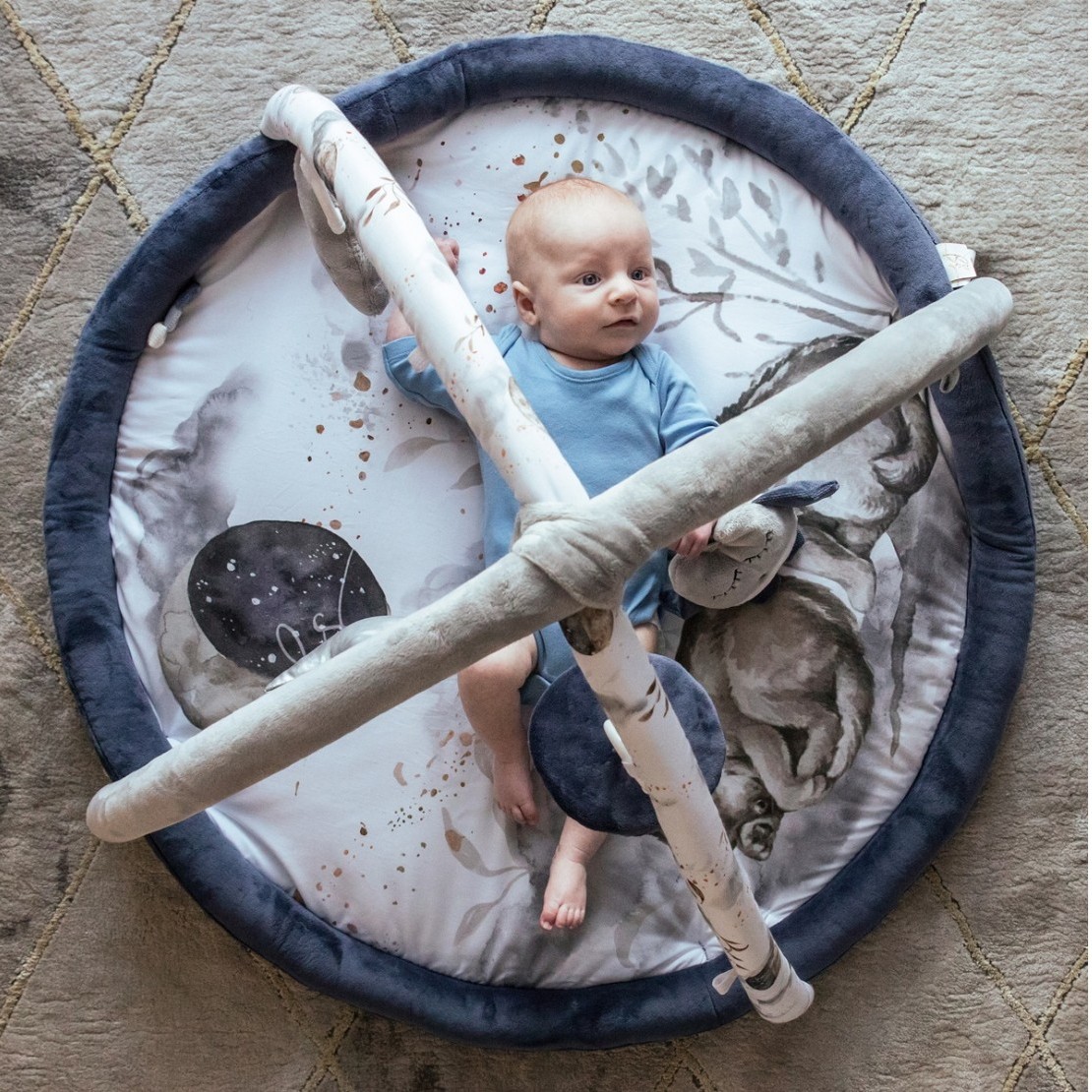 Babysteps, Mata edukacyjna Wolf Moonlight