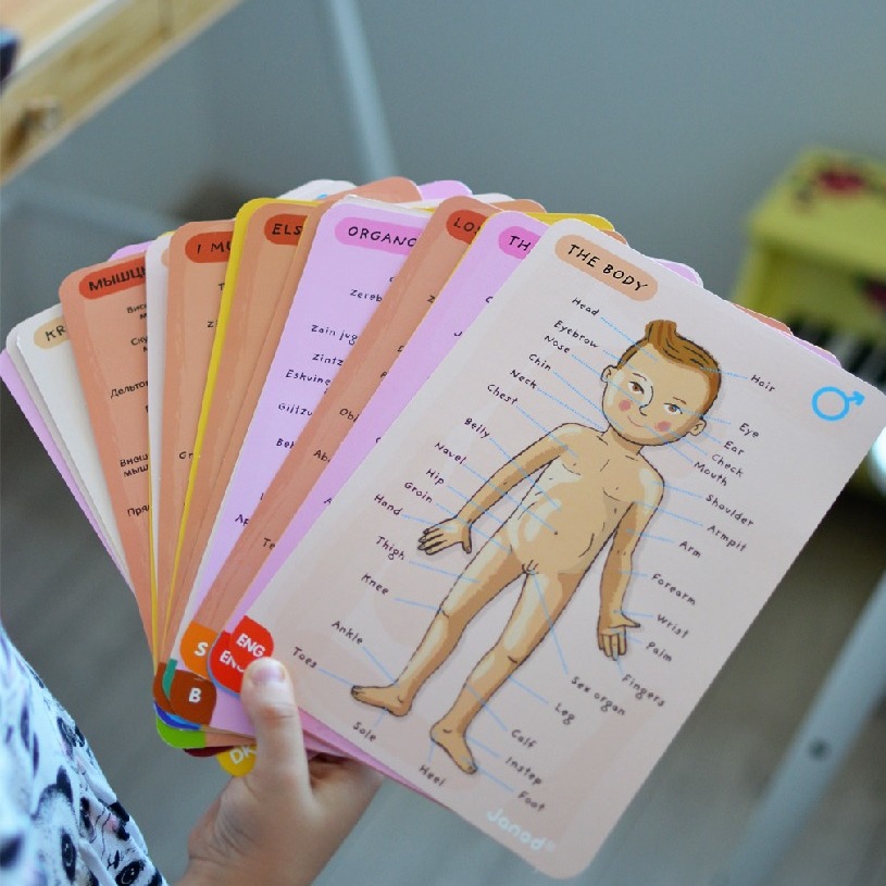 Janod Układanka Magnetyczna Ciało Człowieka 5+ | Edukacyjna