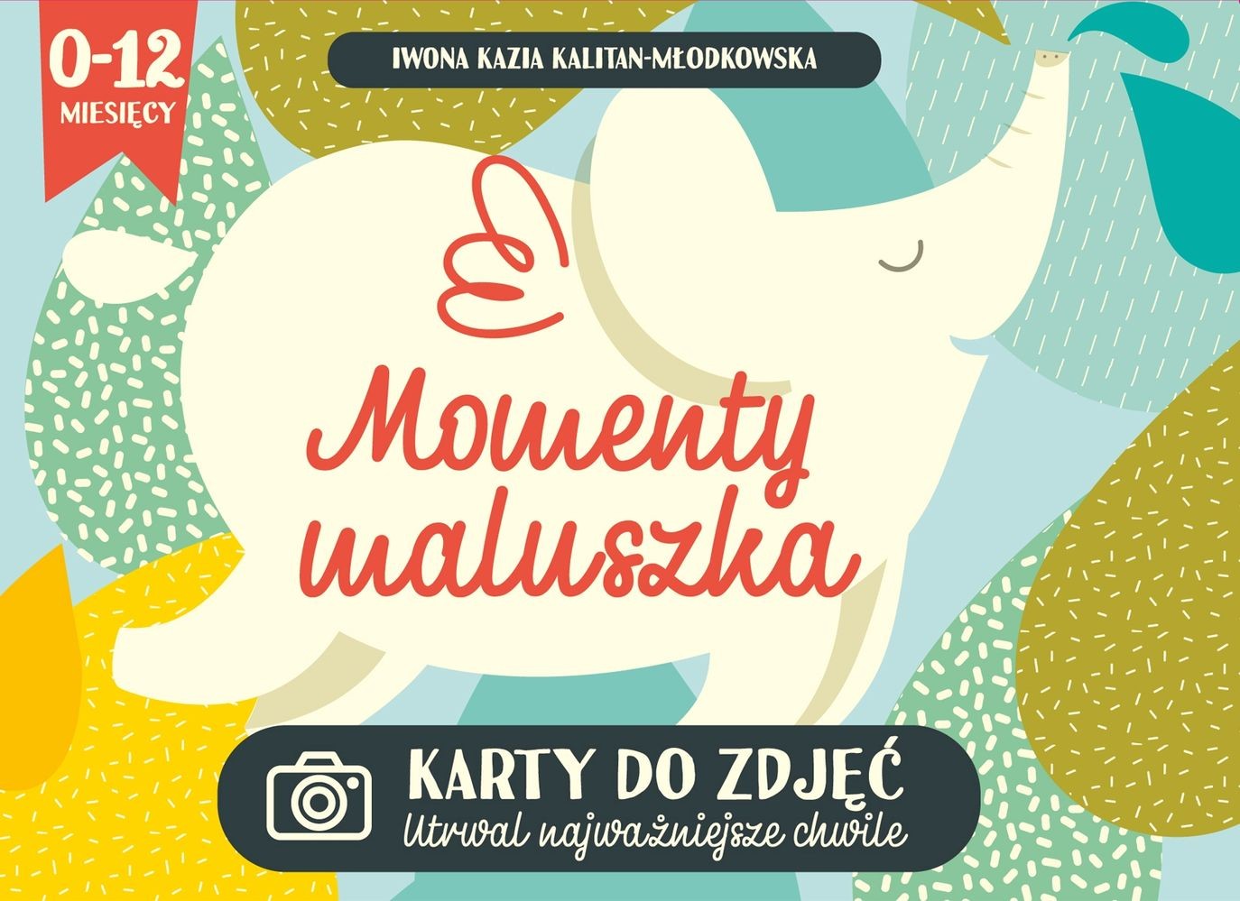 MOMENTY MALUSZKA KARTY DO ZDJĘĆ, IWONA KAZIA KALITAN MŁODKOWSKA