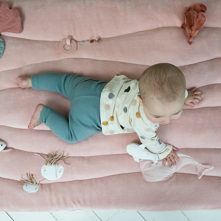 Little Dutch, Mata edukacyjna aktywizująca Ocean Róż