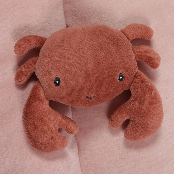 Little Dutch, Mata edukacyjna aktywizująca Ocean Róż