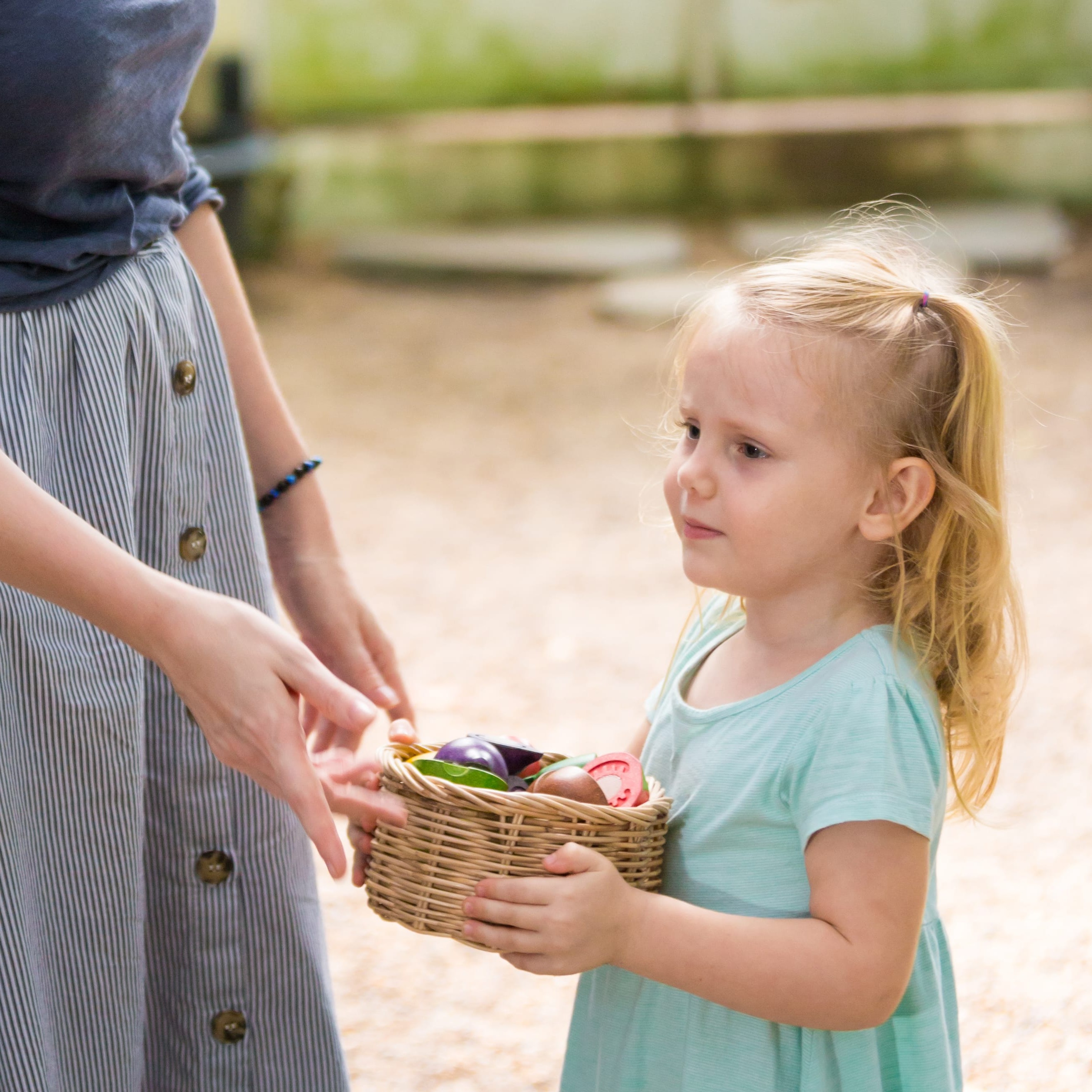 Plan Toys Warzywa i Owoce na Tacy 18m+