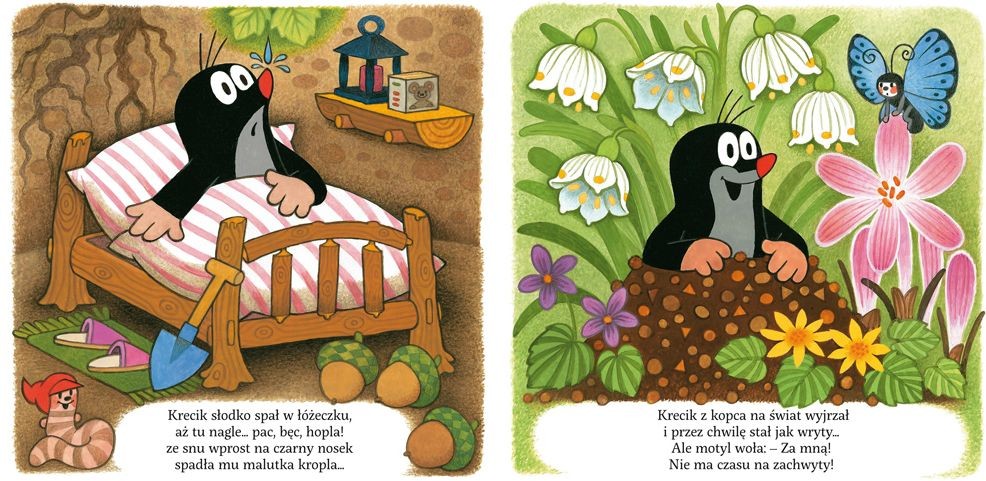 Bajka Krecik i sikoreczka Małgorzata Strzałkowska 1+