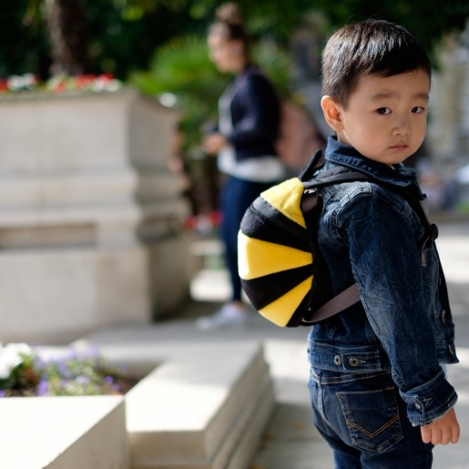 Plecaczek ze smyczą    Pszczoła