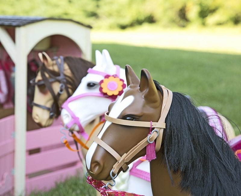 Koń Kary Pełnej Krwi Angielskiej do Czesania 3+
