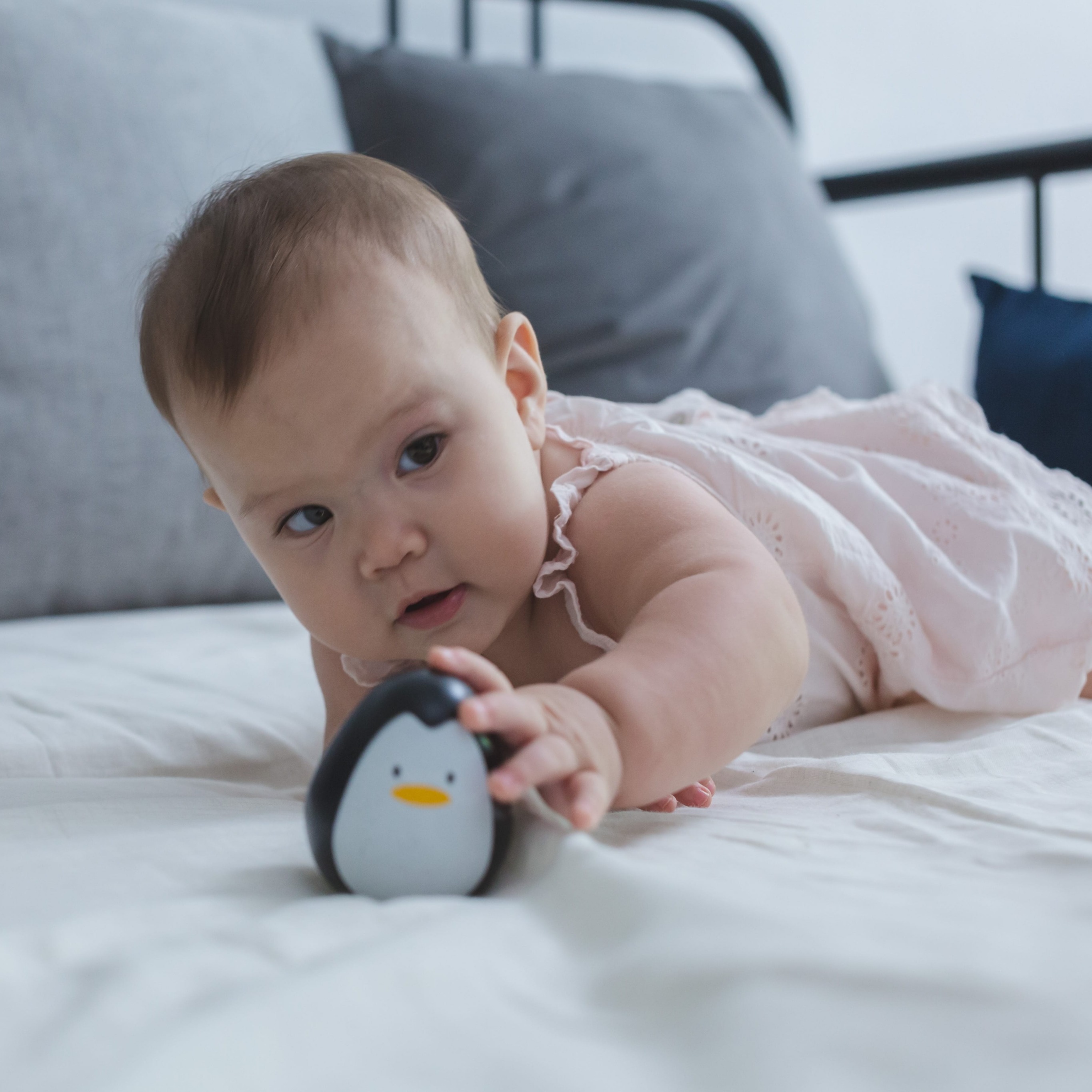 Plan Toys Pingwin Wańka-Wstańka 12m+