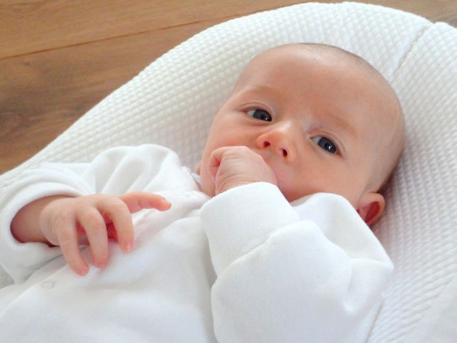 Red Castle Materac Cocoonababy dla niemowląt z prześcieradłem 0+