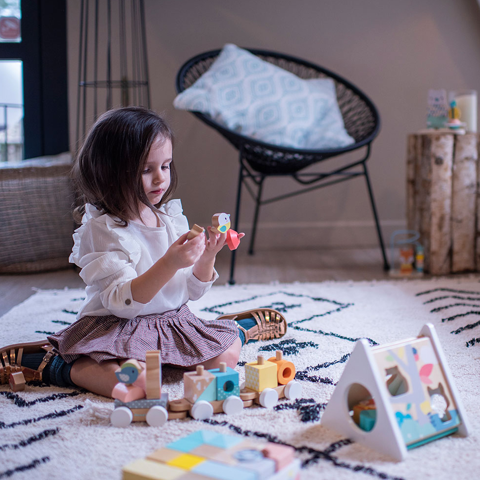 Janod Sorter Kształtów Pure 6el 18m+