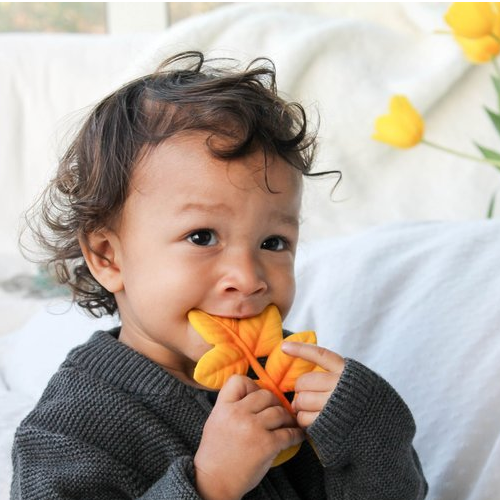 Lanco Gryzak Listek Jesionu 0+