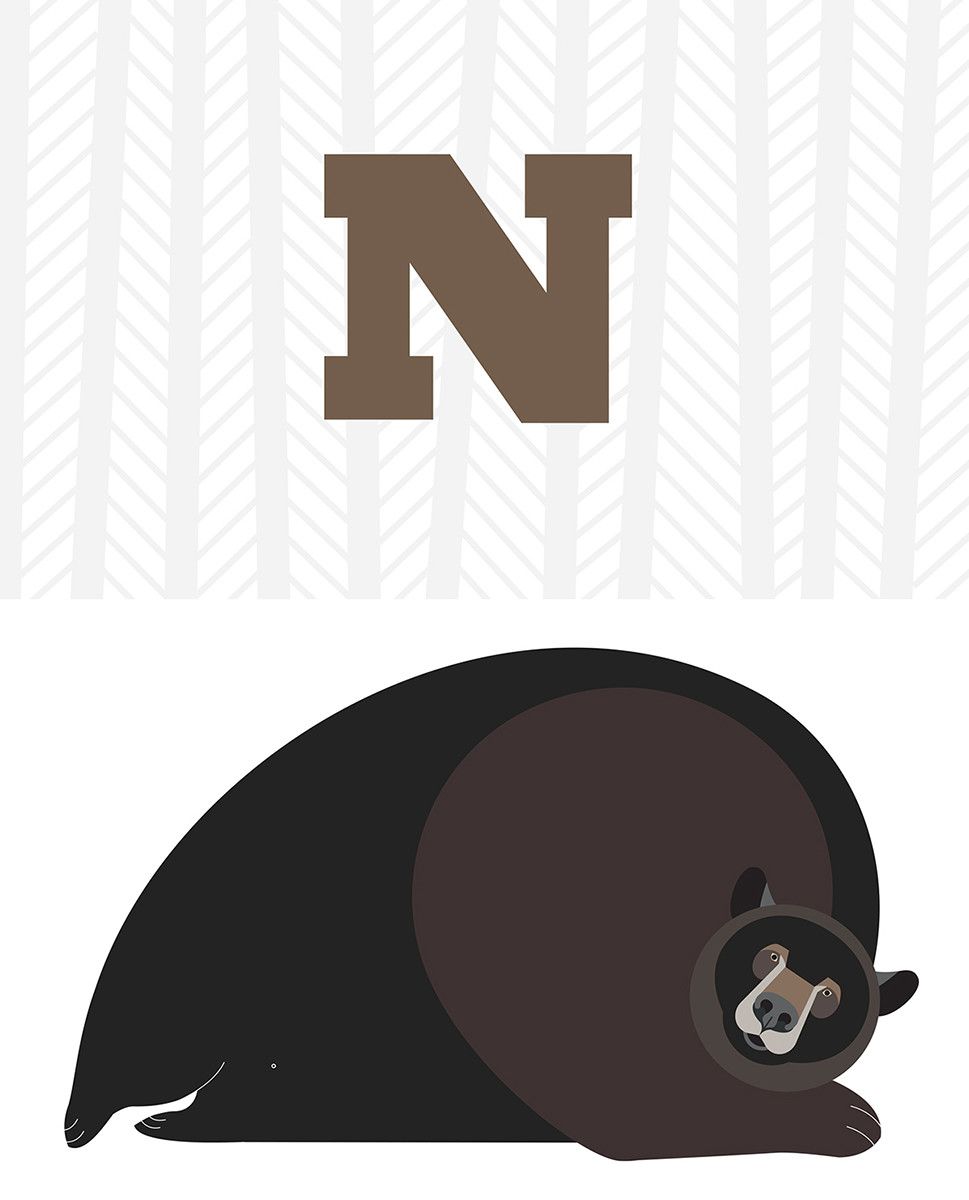 Bardzo proste abecadło - Karty edukacyjne 1+ | Fabryka Wafelków