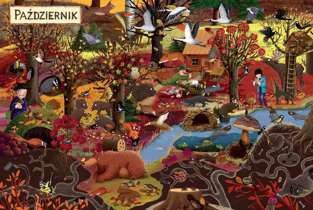 Rok w lesie - Ilustrowana Książka Edukacyjna | 1+