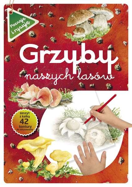 Grzyby naszych lasów - Zeszyt Edukacyjny 29.5cm | Multico