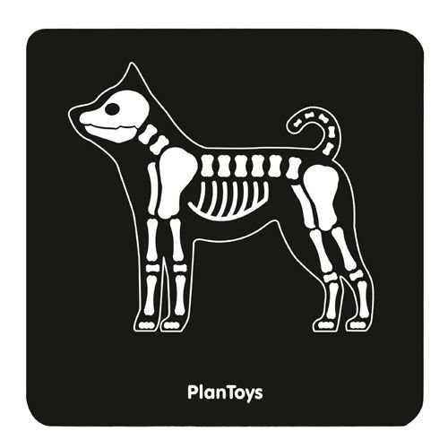 Plan Toys Mały Weterynarz 3+ | Zestaw Lekarski