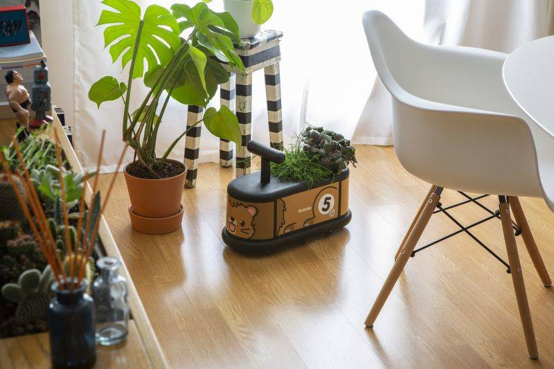 Italtrike Jeździk dla dzieci Lew La Cosa 