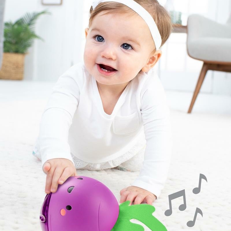 Skip Hop Beetbox Raczkujący Burak Interaktywny 6m+