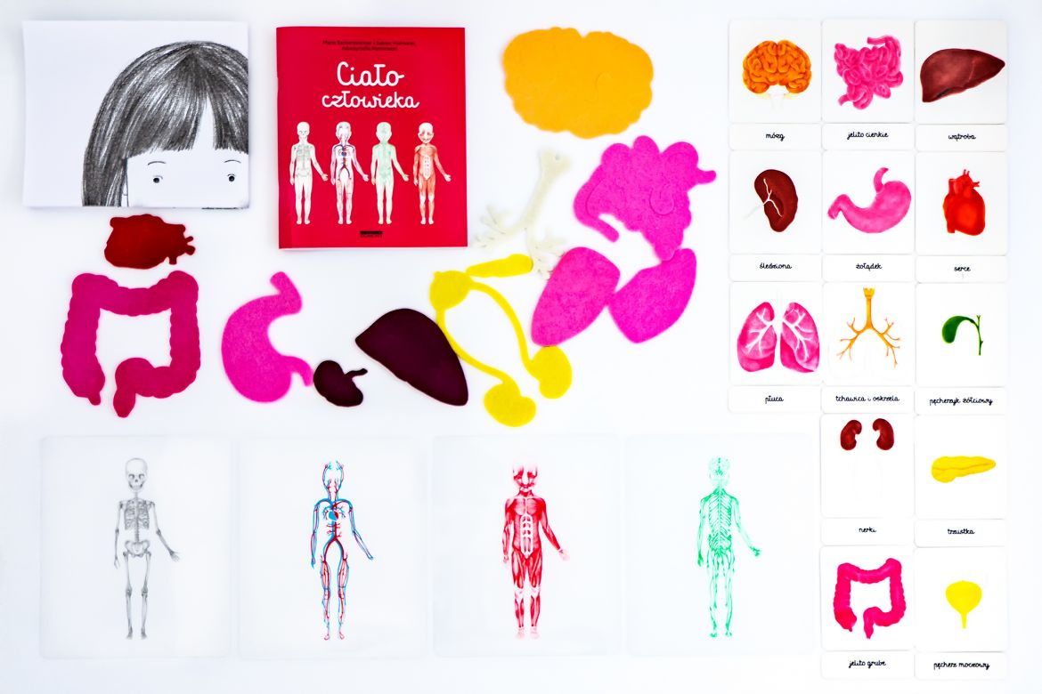 Biblioteczka Montessori Ciało Człowieka - Edukacyjna 3+