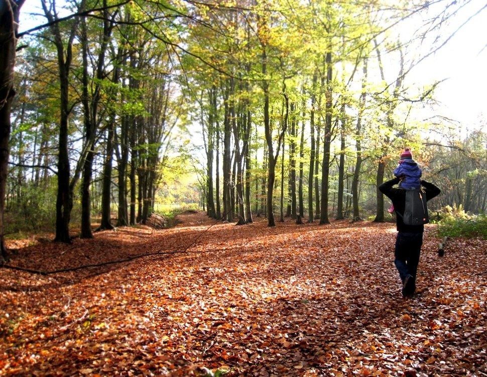 PacaPod, Plecak organizer dla mamy Picos czarny