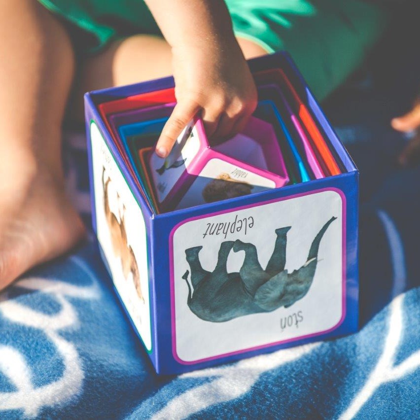 Piramida Zabaw Kartonowe Klocki Zwierzęta 1+