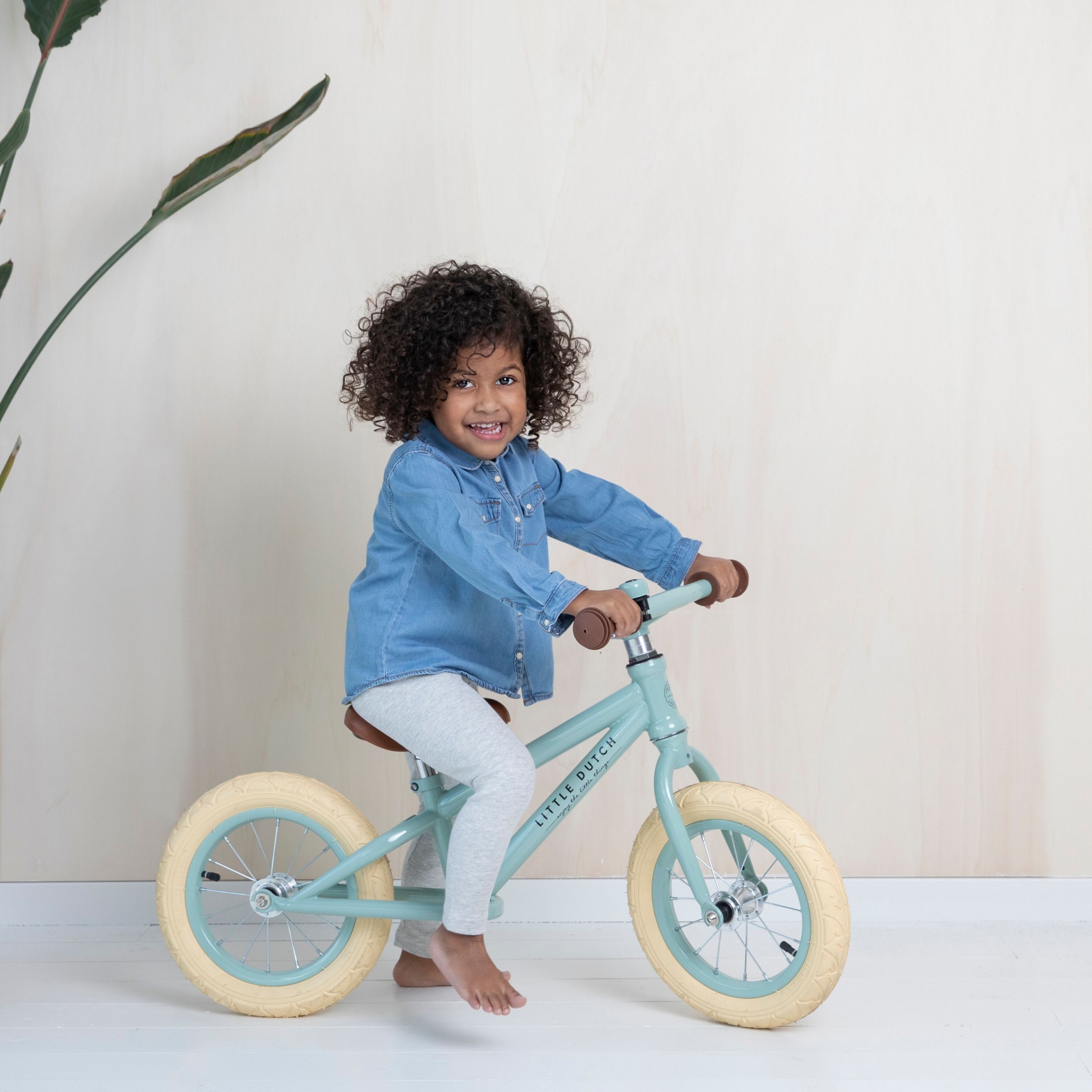 Little Dutch Rowerek biegowy Mięta 12 cali 2+