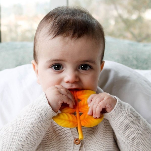 Lanco Gryzak Listek Jesionu 0+