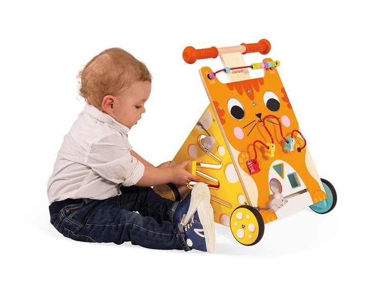 Janod Pchacz Edukacyjny Kot 12-36m