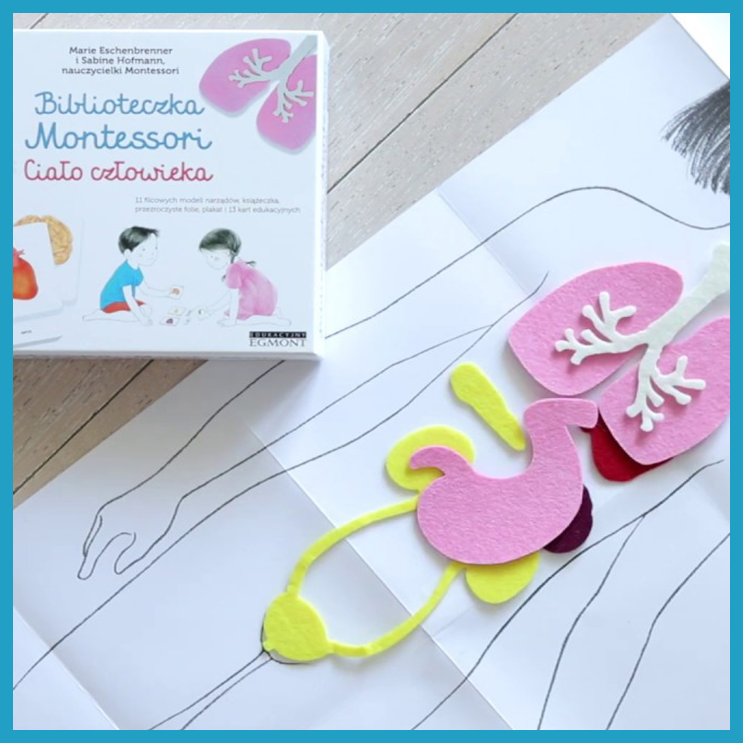 Biblioteczka Montessori Ciało Człowieka - Edukacyjna 3+