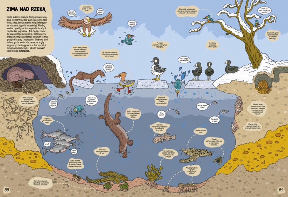 O rany, przyroda! Książka edukacyjna dla dzieci 3+ | Fabryka Wafelków