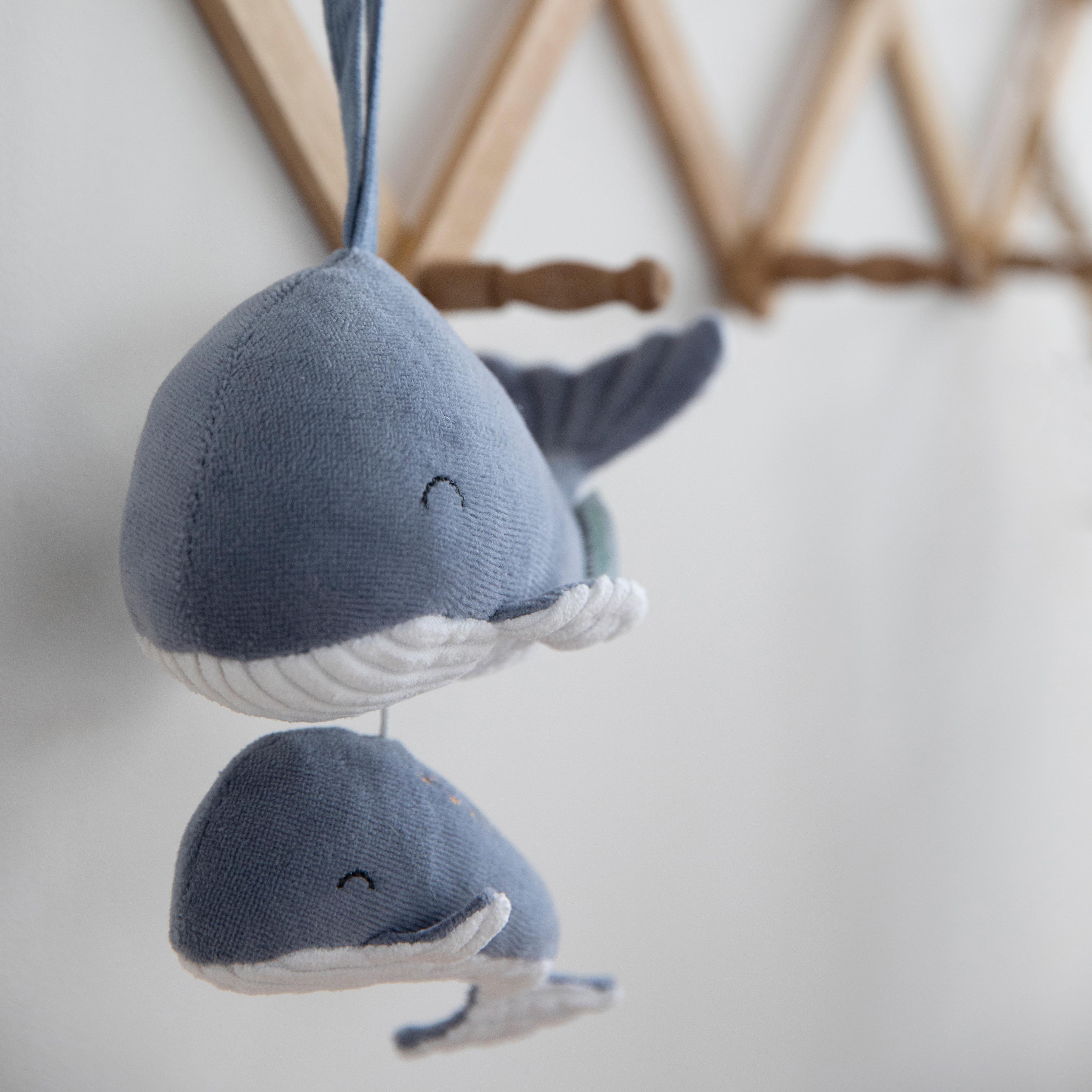 Little Dutch, Pozytywka wieloryb Ocean Błękit