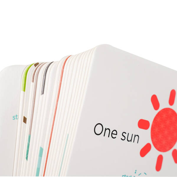 MierEdu, Zestaw Edukacyjny Z Suchościeralnym Markerem