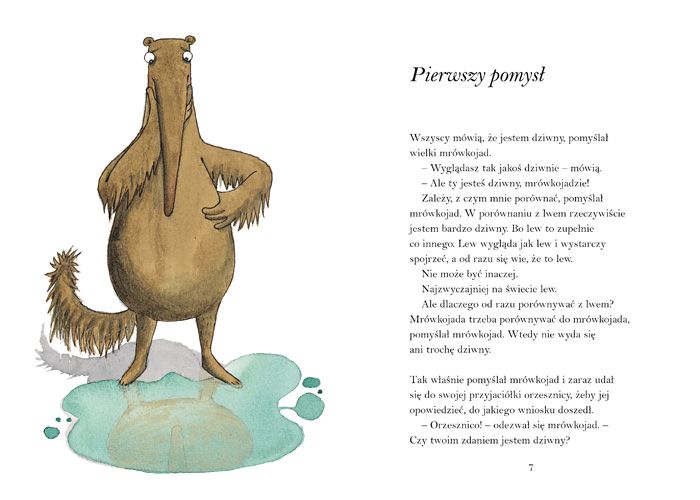 Djeco Dziwne Zwierzęta Kolorowanka 3+