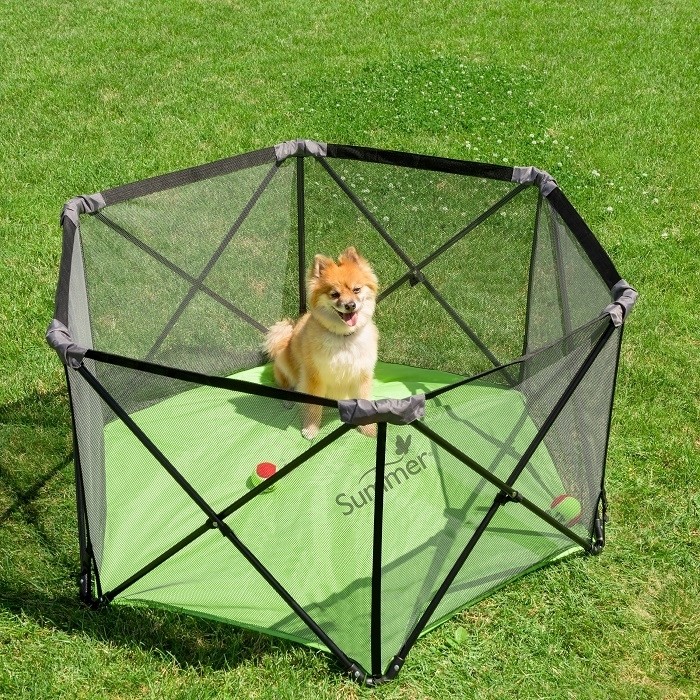 Summer Kojec Przenośny Pop N Play 121,9 cm