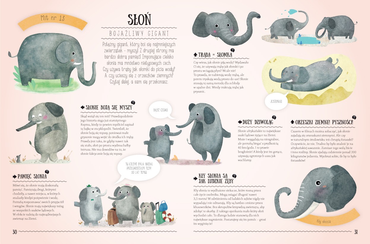 Mity i Stereotypy Pavla Hanackova - Edukacyjna Książka 8+