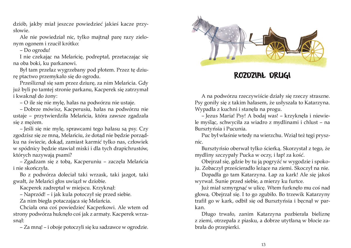 Puc, Bursztyn i goście - Książka dla dzieci, Jan Grabowski