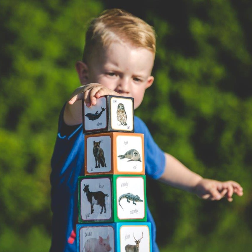 Piramida Zabaw Kartonowe Klocki Zwierzęta 1+