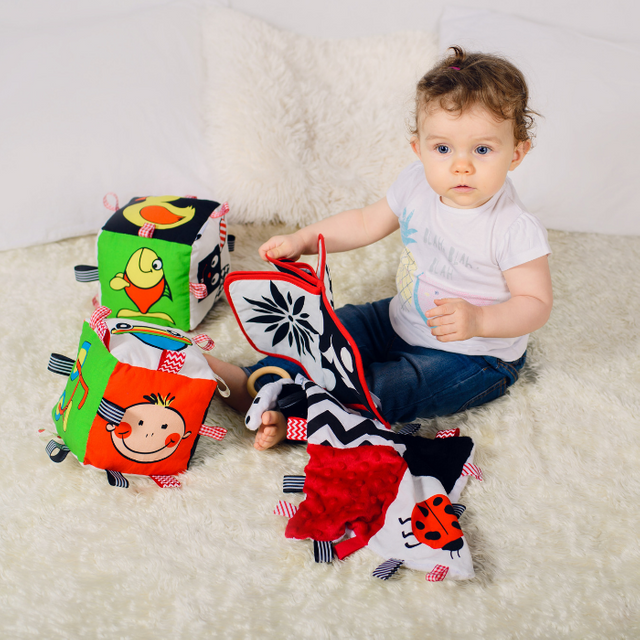 Baby Senses, Kostka sensoryczna - Pierwsze obrazki