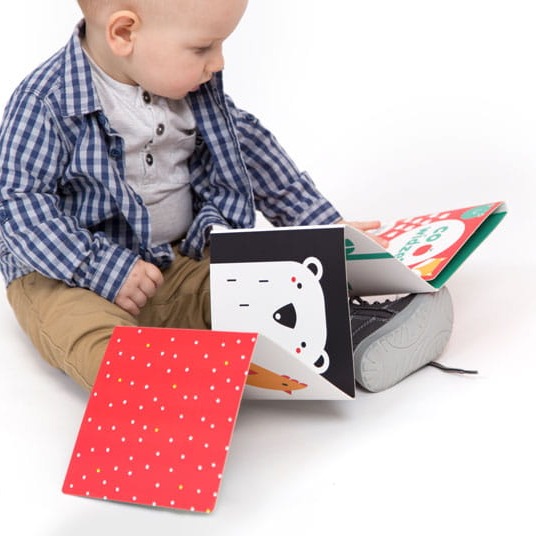 Czuczu Starter Malucha - Pierwsze Słówka 12m+