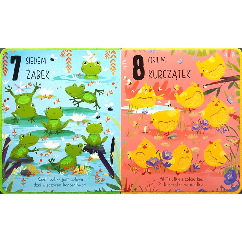 Książeczka sensoryczna Zwierzęta 0+ | Fabryka Wafelków