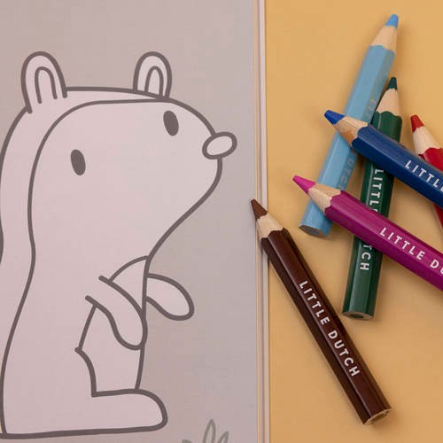 Little Dutch, Kolorowanka Little Goose